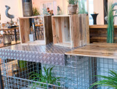 20191203-galerie-geburtstag-026