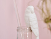 All white but colorful