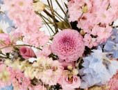 All white but colorful