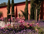 All white but colorful