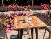 All white but colorful